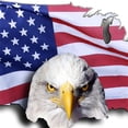 thumbnail image 2 of CafePress - Bald Eagle Over American Flag - Sled Ornament, 2 of 4