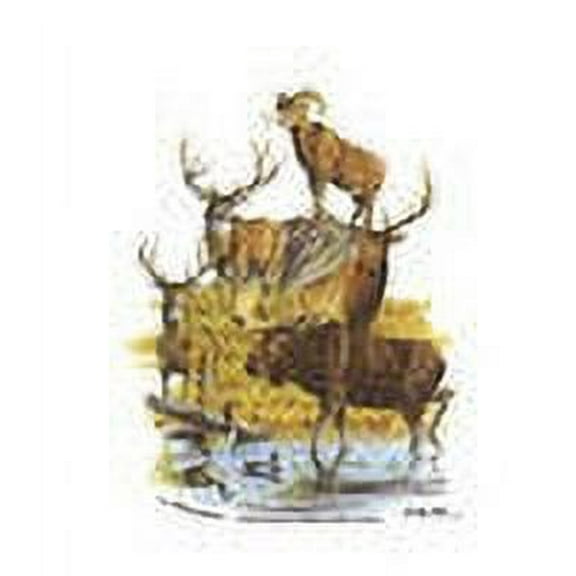 Into the Wild Edible Frosting Photo Cake Topper