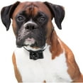 Guardian by PetSafe Wireless Fence