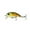 Shad Sense, variant on 6th Sense Fishing Movement 80X Crankbait