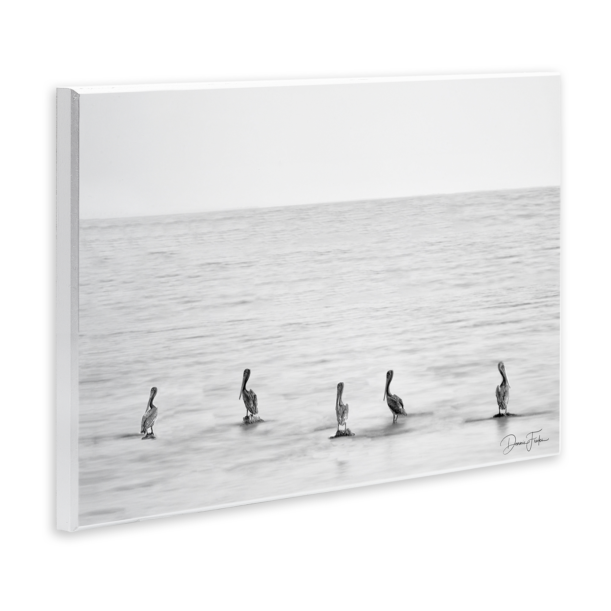 Stupell Industries Pelicans on Shore Landscape Photography Unframed Art Print Wall Art, 19 x 13