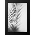 thumbnail image 2 of McDonald, Catherine 17x24 Black Modern Framed Museum Art Print Titled - Shade I - B and W, 2 of 5