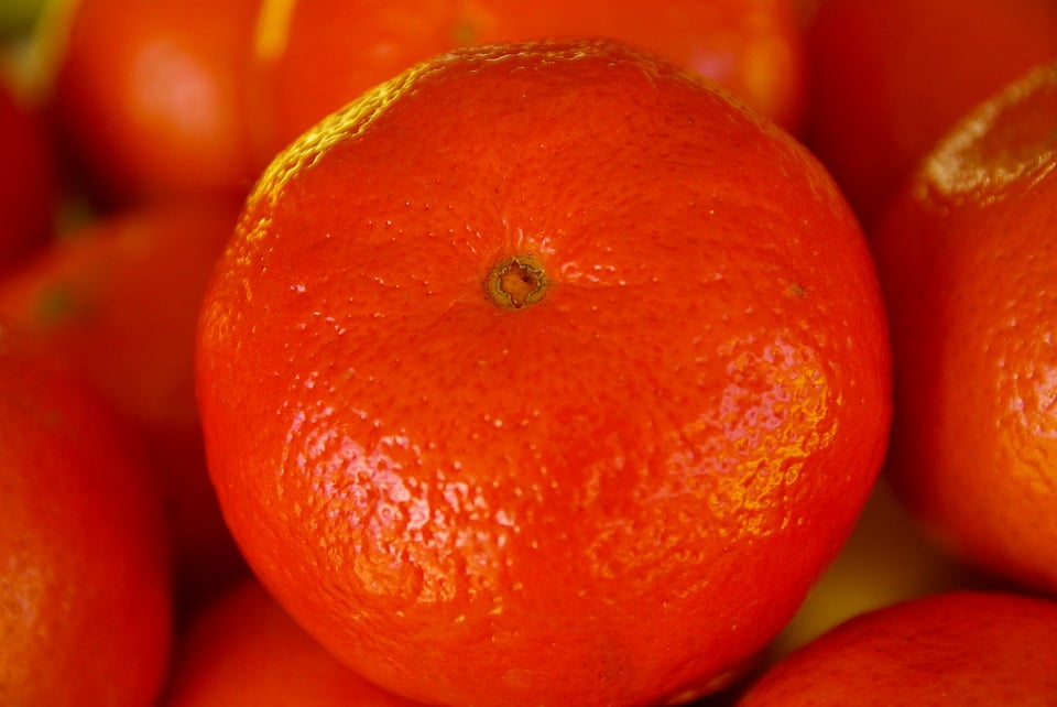 clementine vs orange clementine vs orange