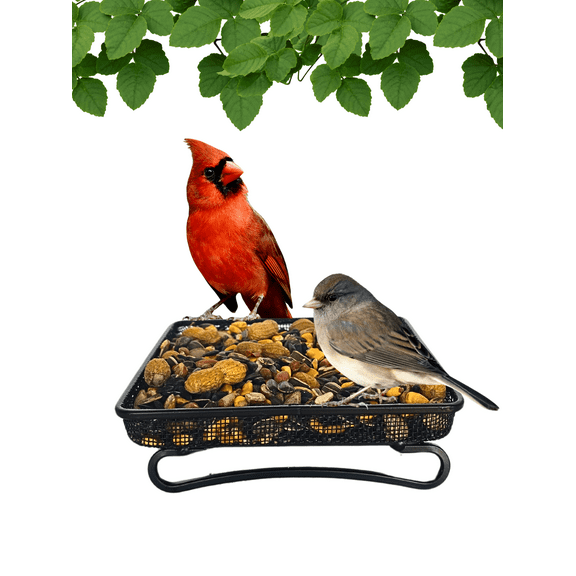 Backyard Essentials Bird Feeder Tray Metal Mesh Ground Squirrel Feeder, 2 Cup Capacity