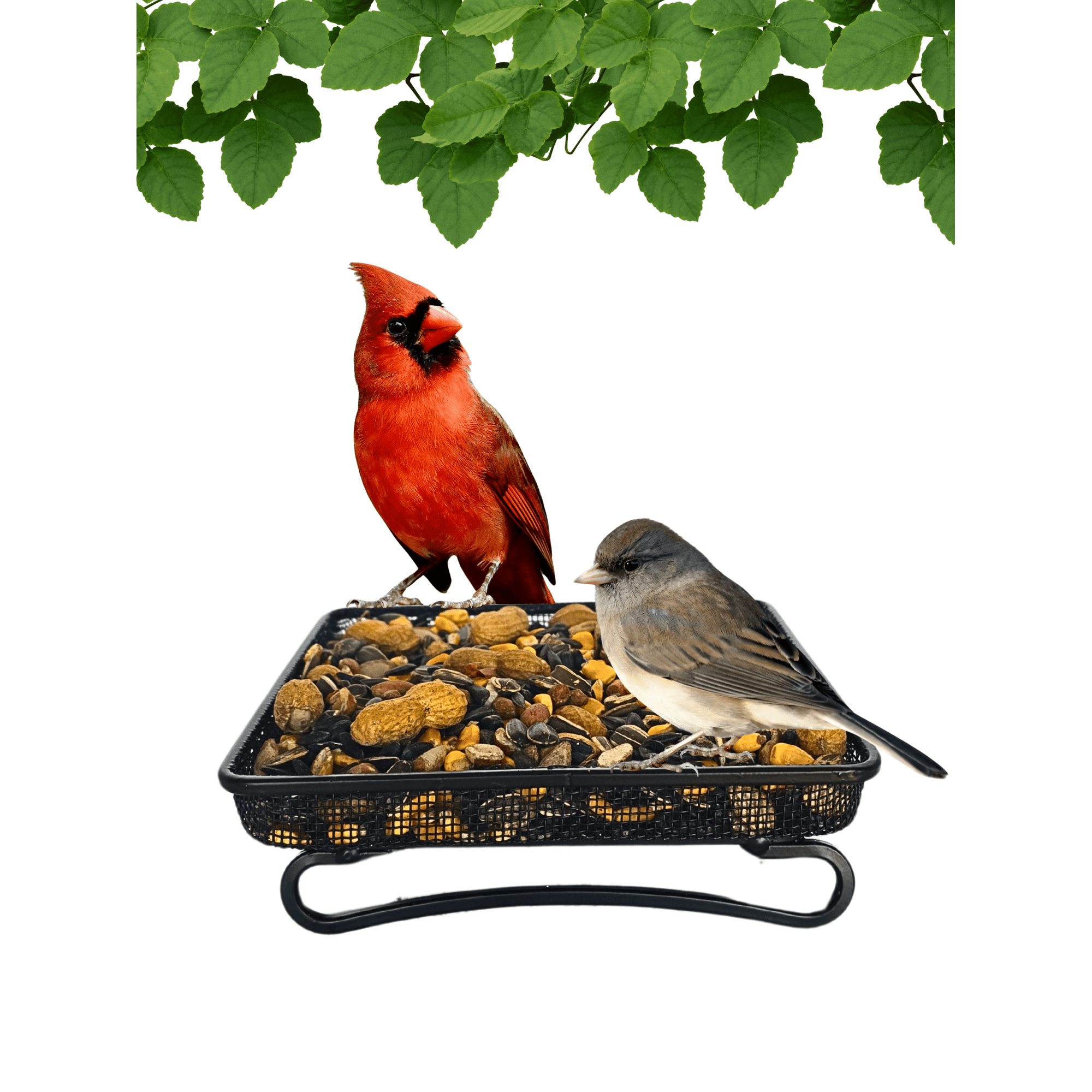 Backyard Essentials Bird Feeder Tray Metal Mesh Ground Squirrel Feeder, 2 Cup Capacity