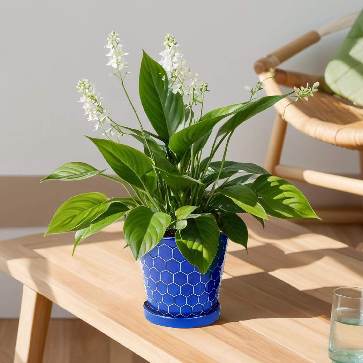BUYMAX Plant Pots Indoor –6 inch Ceramic Flower Pot with Drainage Hole and Ceramic Tray - Gardening Home Desktop Office Windowsill Decoration, Set of 2(Blue)
