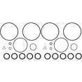 thumbnail image 1 of GFDYREE Kit de Joint Torique APPLIAFIT Compatible avec Intex 25013 pour Pompes à Filtre à Sable Intex, Inclut une Vanne de Décharge d'Air, Lot de 2 (24 Pcs), 1 of 6