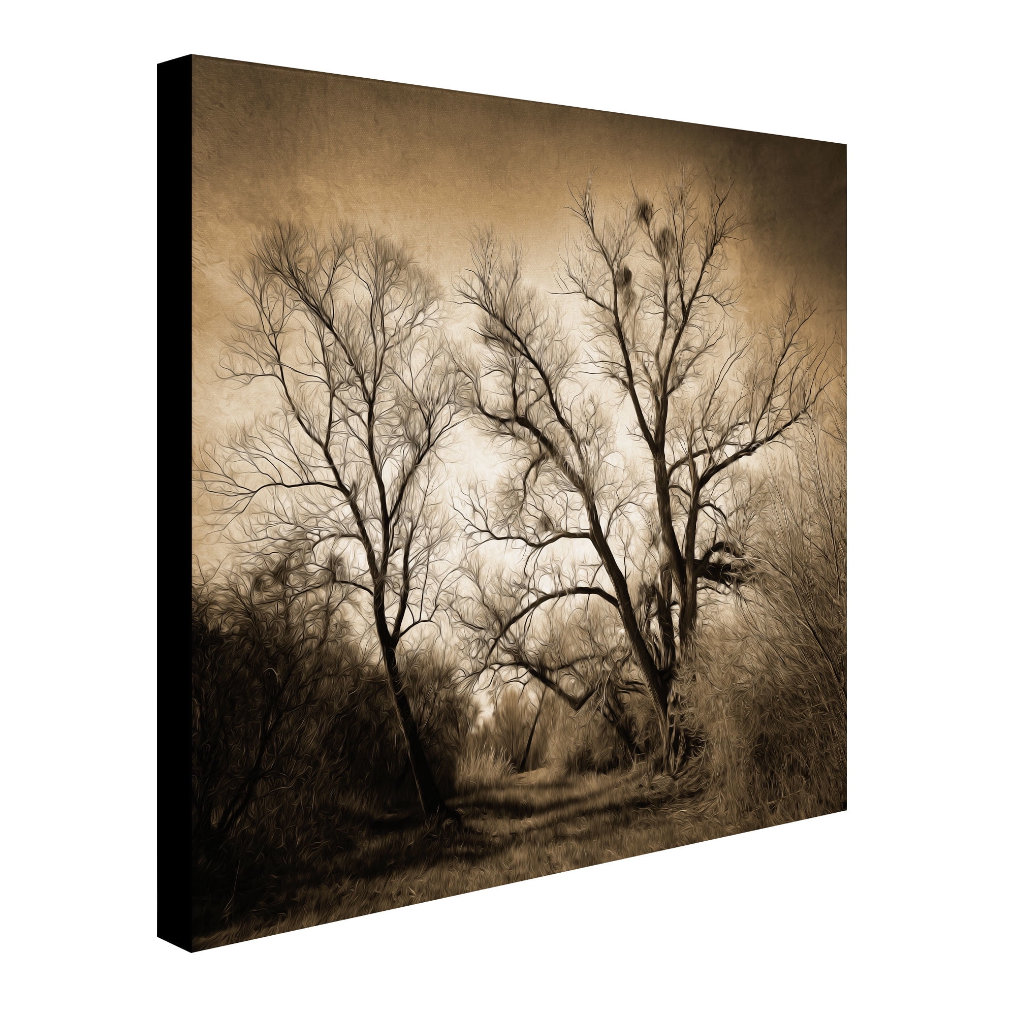 Trademark Fine Art "Sepia Ghost" Canvas Art by Philippe Sainte-Laudy