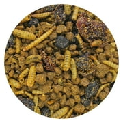 Exotic Nutrition Berries & Bugs 10 lb.
