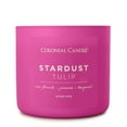 Colonial Candle Pop of Color Stardust Tulip Jar Candle, 3 Wick, 14.5 oz
