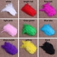 thumbnail image 6 of kayannuo 200 Pcs Feathers Natural Feathers Soft Feather Accessories for Christmas Card, 6 of 6