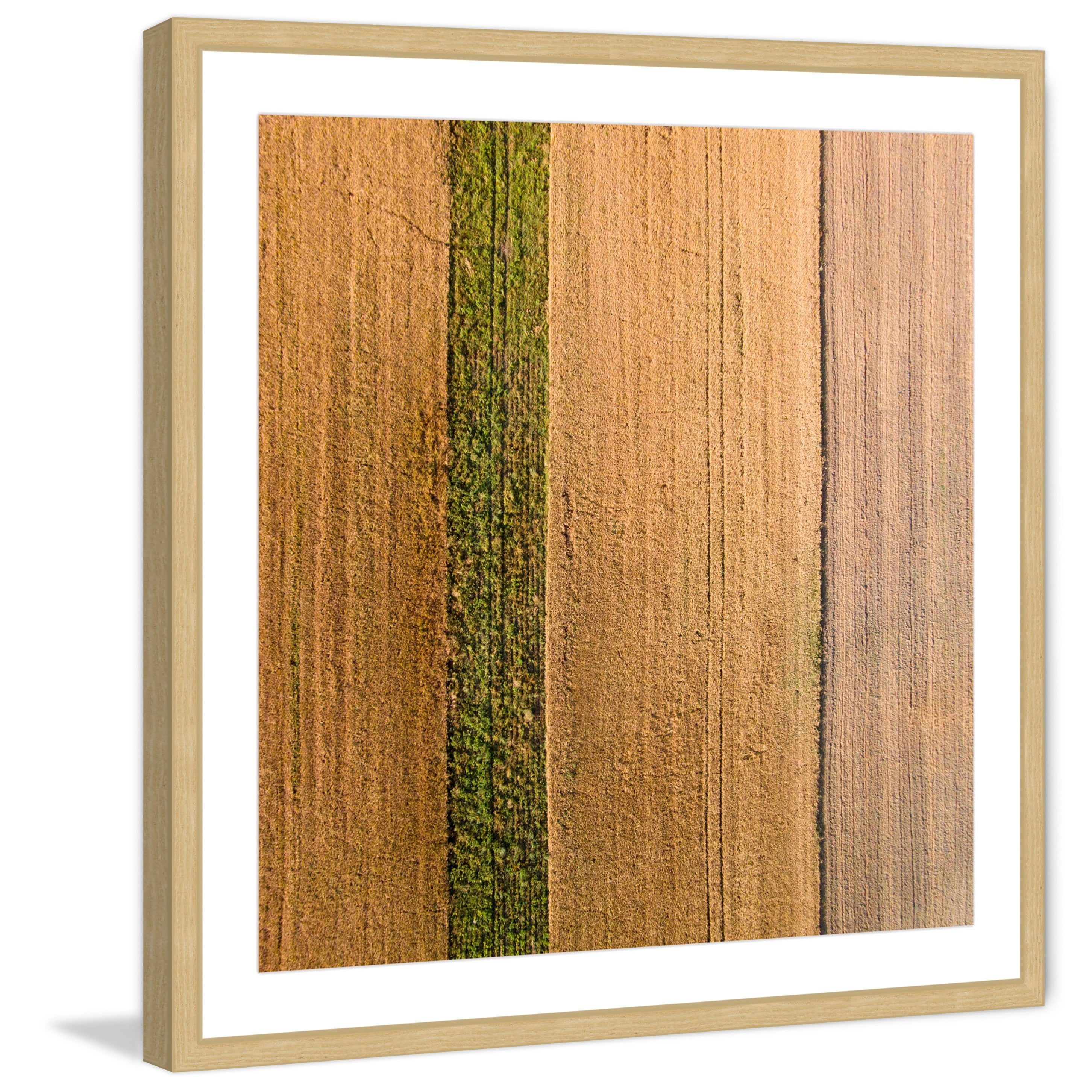 Marmont Hill "Seeded Land" by Karolis Janulis Framed Painting Print