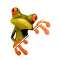 thumbnail image 1 of Kenally Pegatina Universal para coche 3D Peep Frog, pegatinas divertidas para coche, pegatina para ventana de rana estéreo para camión, decoración Type3 NO3 Kenally CZ9237-01, 1 of 6
