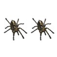 thumbnail image 3 of Kenally 1 uds/2 uds 3D pegatina de araña divertida cabeza de coche cola personalidad pegatinas de araña decoración DIY decoración Type2 NO2 Kenally CBP083044, 3 of 5