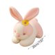 thumbnail image 3 of Juguetes para la piscina, juguetes para bebés, juguetes para niños pequeños, muñeco de peluche de Pascua, lindo conejito, muñeco de peluche con flores, muñeco de peluche para madre e hijo, 3 of 5
