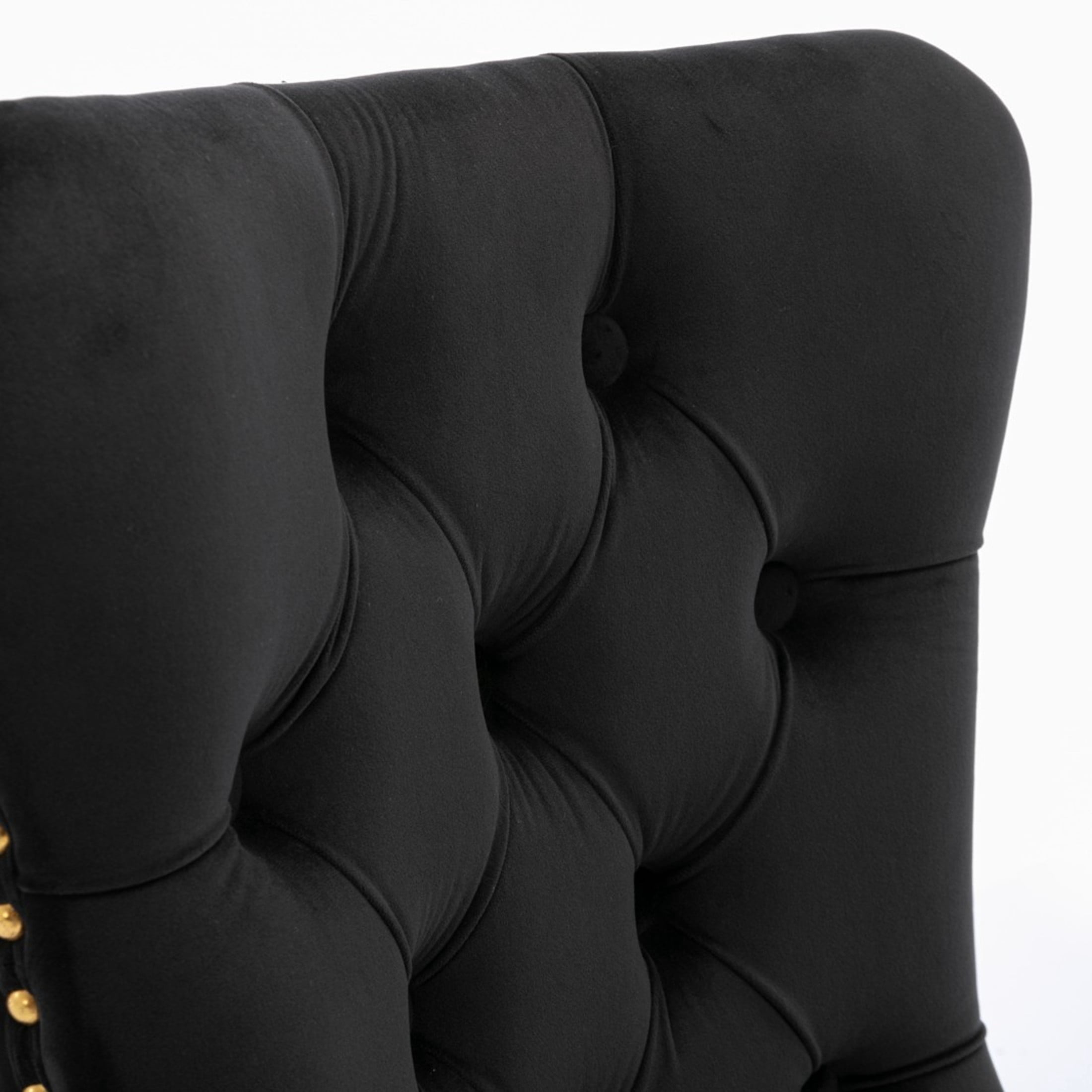 Noble House Tufted Velvet Dining Chair, Nailhead Trim, Stainless Steel Legs, Black + Gold