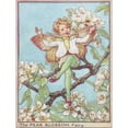 thumbnail image 3 of Vision Studio 12x14 Black Modern Framed Museum Art Print Titled - The Pear Blossom Fairy, 3 of 5