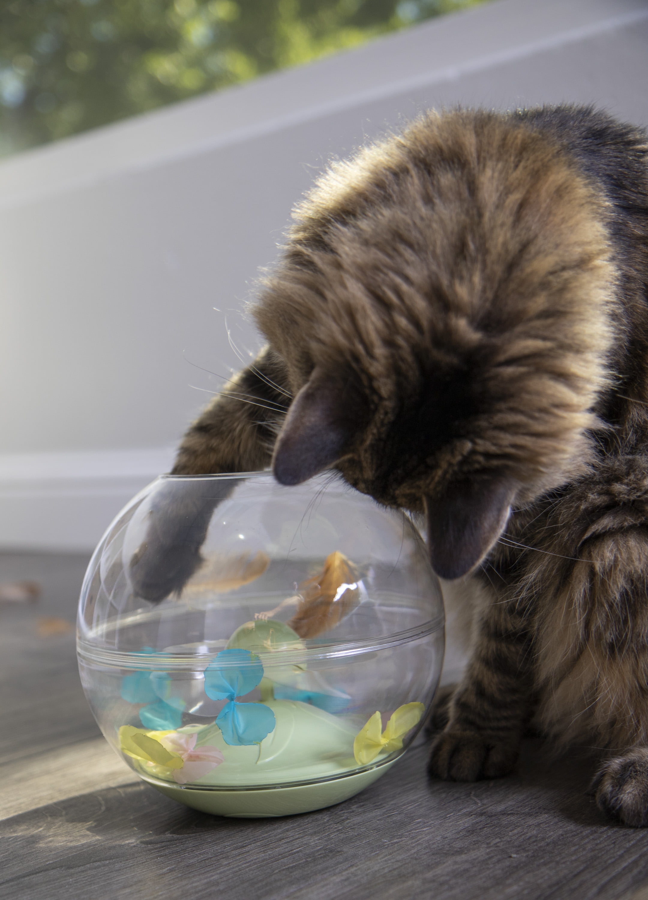Petlinks hotsell flitter fly