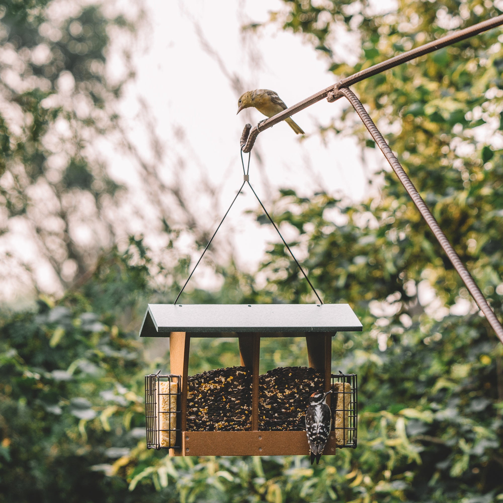 Backyard Expressions REDWOOD Plastic Lumber Bird Feeder w/ Suet Cages