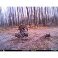 Cuddeback Model E2 Long Range IR Infrared Micro Trail 20MP Game Hunting