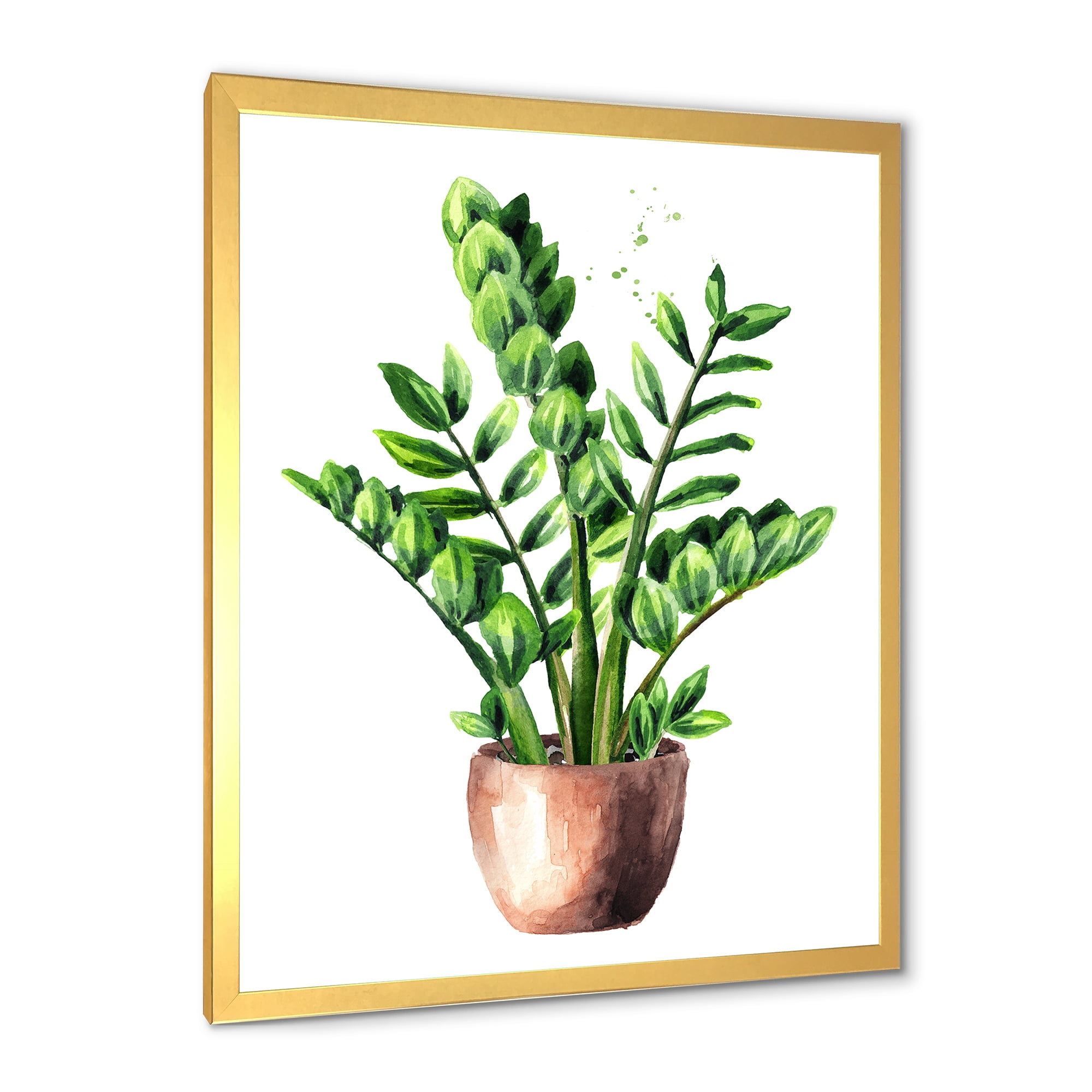 Designart 'Zamioculcas Tropical Plant With Green Leaves On White' Traditional Framed Art Print