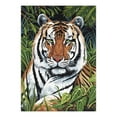 thumbnail image 2 of Royal & Langnickel Small Paint By Number Kit 8.75"X11.75"-Tiger In Hiding, 2 of 2