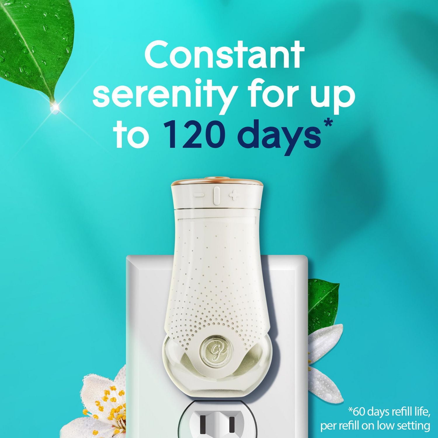 Glade Plugins® Air Freshener Oil Refill, Dewdrop Petals, 2 Refills