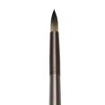 thumbnail image 1 of CEPILLO REAL ROYAL BRUSH  RYZ53R6, 1 of 1