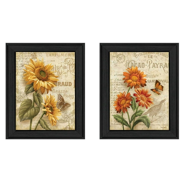 TrendyDecor4U V178-405 "Fleurs" par Ed Wargo Imprimé Encadré d'Art Mural