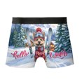 thumbnail image 2 of Hello Welcome Winter The Ski Cairn Terrier Snowy Day All Over Print Boxer Briefs Underwear for Men Dad Cairns Dog Lover - 13013, 2 of 6