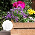 thumbnail image 3 of SUTENGDA 2Set White Ceramic Flower Pots for Hydroponic Planting 1x1x1in, 3 of 8