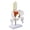 Pelvis with five lum, variant on Professional Movable Female Lumbar Pelvic Anatomy Model With Movable Joints For Nursing Student Obstetrics Education