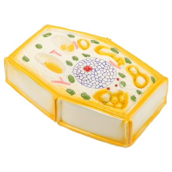 COMPUKAS Model Display Plant Cell Model for School Biology Lessons 1Set