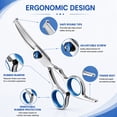 thumbnail image 2 of 6-in-1 Dog Grooming Scissors Kit, Stainless Steel Dog Scissors for Grooming with Curved Scissors & Comb, for Home & Professional Pet Grooming, Blue, 2 of 8