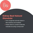 thumbnail image 5 of Allergy Research Group Kidney Beef Supplement - Natural Glandular, Freeze-Dried, Bovine, Lyophilized, Beef Organ, Vegetarian Capsules - 100 Count, 5 of 6