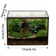 thumbnail image 4 of Outdor Glass Terrarium With Lid Rectangle Black For Indoor Geometric Clear Containers For And Succulent Tabletop DIY, 4 of 6