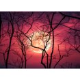 thumbnail image 1 of Pintura de diamante (DE1789) 5D Kits de bricolaje Blood Moon Imagen cuadrada Artesanía 30x40cm Hugtrwg Para estrenar, 1 of 1