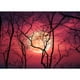 thumbnail image 1 of Pintura de diamante (DE1789) 5D Kits de bricolaje Blood Moon Imagen cuadrada Artesanía 20X30cm FLhrweasw Nuevo, 1 of 1