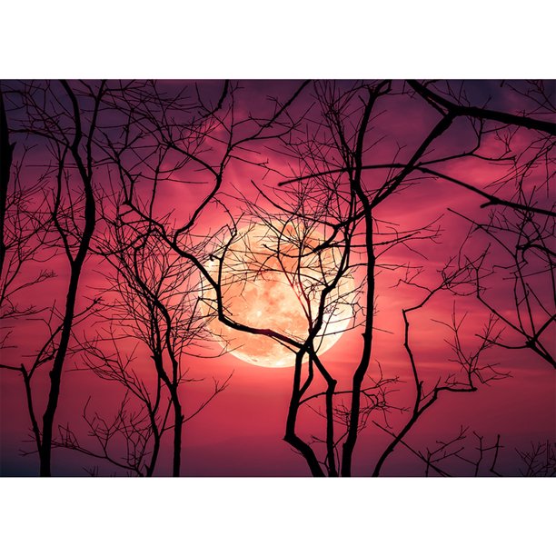 Pintura de diamante (DE1789) 5D Kits de bricolaje Blood Moon Imagen cuadrada Artesanía 20X30cm FLhrweasw Nuevo