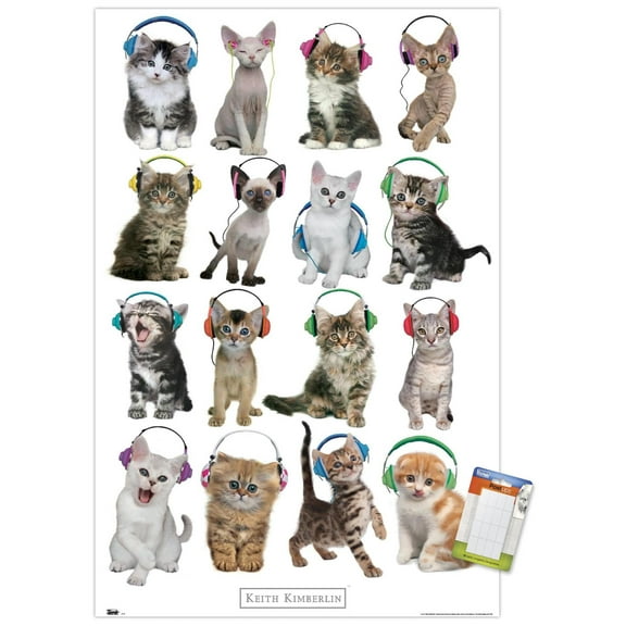 Keith Kimberlin - Kittens - Headphones Wall Poster, 14.725" x 22.375"