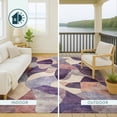 thumbnail image 4 of Addison Rugs Chantille Indoor/Outdoor Transitional Abstract Plum Machine Washable Rectangle Rug, 3' x 5', 4 of 8