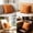 Orange-Free Size/OR, variant on Solid Color Waterproof Outdoor Pillow Cover Fade Resistant Polyester Cushion Case with Hidden Zipper for Patio Garden Sofa Balcony
