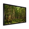 thumbnail image 3 of Designart "Dynamic Lighting In The Bamboo Grove" Bamboo Picture Framed Wall Art Living Room, 3 of 5