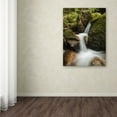 thumbnail image 3 of Trademark Fine Art "Granite Cascade" Canvas Art by Michael Blanchette Photography, 3 of 3
