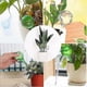 thumbnail image 4 of 12-Pack Self-Watering Globes with PVC System for Indoor and Outdoor Plants, 4 of 5