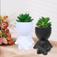 thumbnail image 4 of Hbdhejl Lazy Man'S Mini Planter With Dummy Easy Care Decorative Pots, 4 of 4