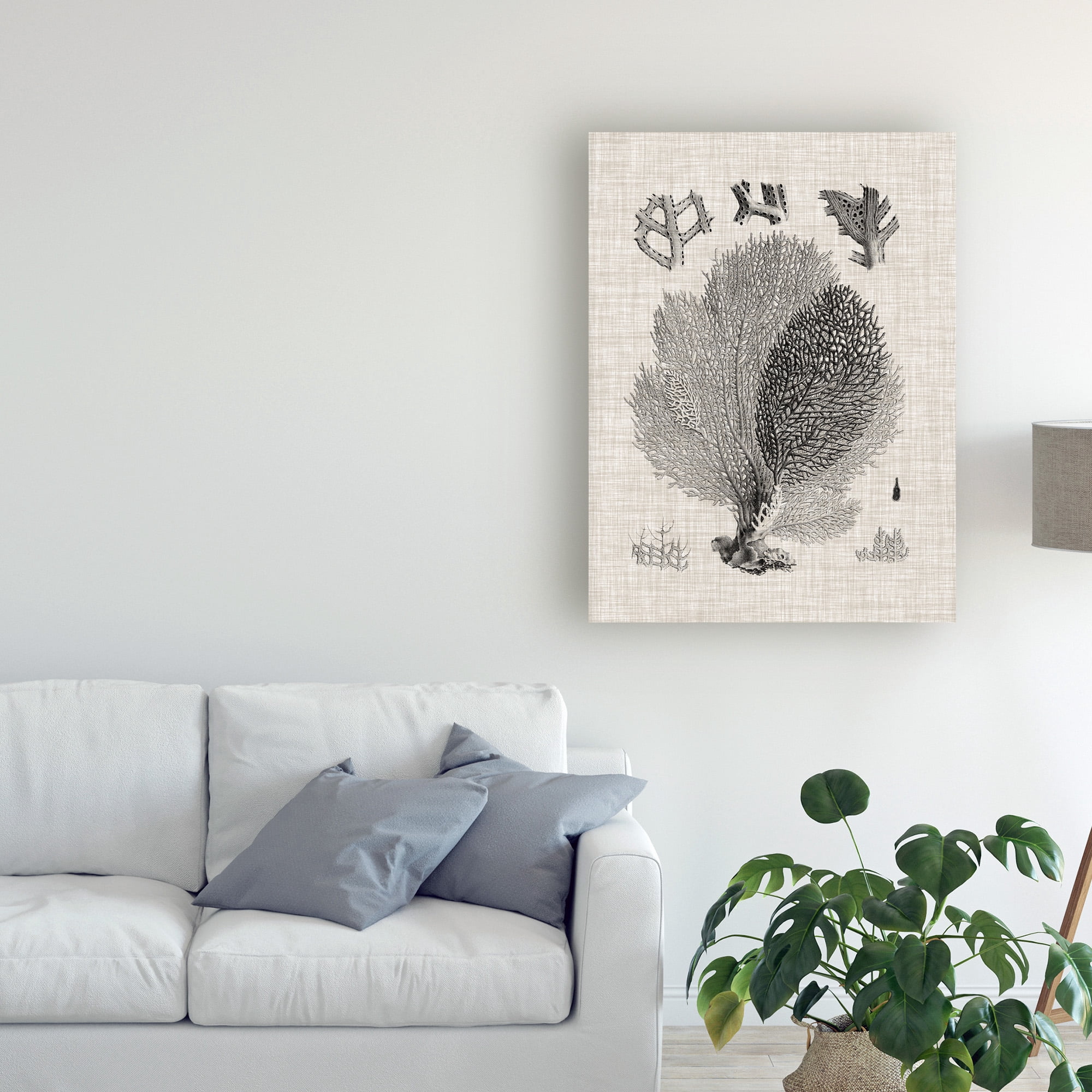 Trademark Fine Art 'Coral Specimen VI' Canvas Art by Vision Studio