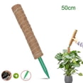 thumbnail image 2 of Postes de extensión Postes de planta naturales Postes de fibra de coco para 50cm, 2 of 9
