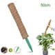 thumbnail image 2 of Postes de extensión Postes de planta naturales Postes de fibra de coco para 50cm, 2 of 9