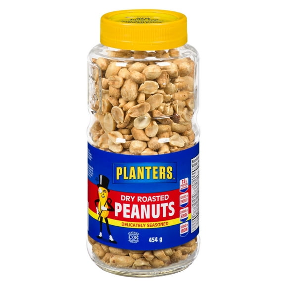Planters Dry Roasted Peanuts, Dry Roasted Peanuts